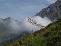 Youri - Ecrins 2005 338